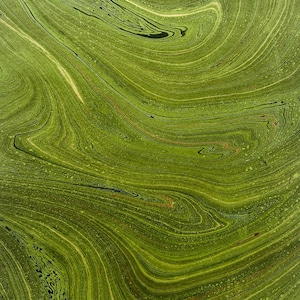 May include: A sheet of paper featuring a marbled pattern with swirling shades of olive, lime, and forest green. The design consists of fluid, organic lines and intricate, flowing curves that create a textured, layered appearance across the surface.