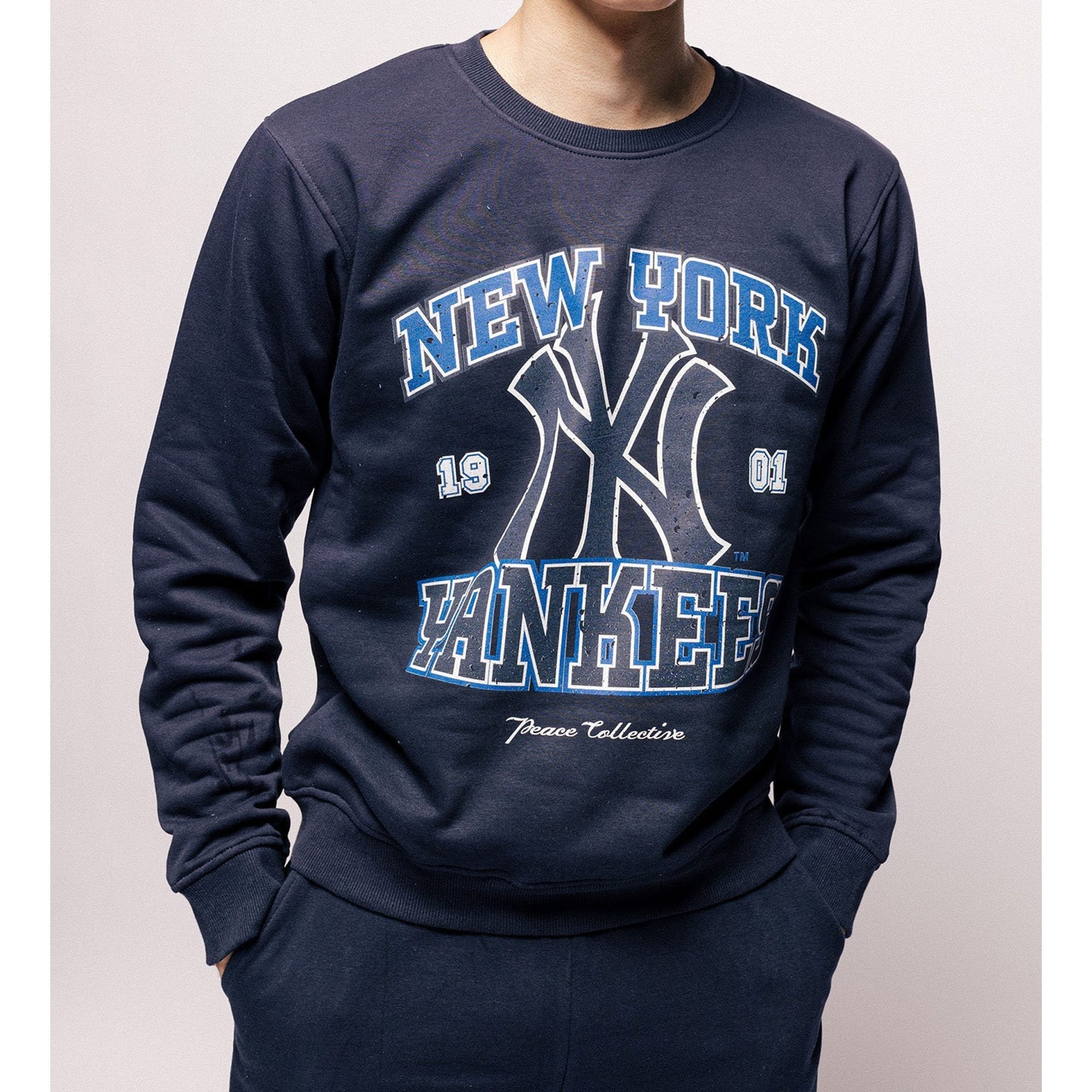 Discover Vintage 1901 New York Baseball Sweatshirt, Retro Yankees