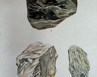 Pode incluir: Um close-up de três tipos diferentes de rochas: serpentina, meerschaum e talco. As rochas são de cores e texturas diferentes. A imagem é de um livro sobre silicatos.