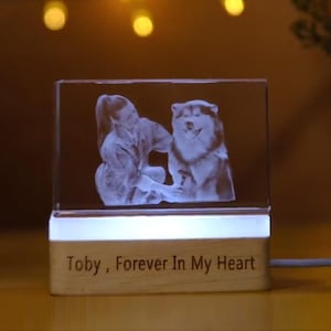 Custom 3d pet photo crystal tower,3d crystal photo,laser engraved glass keepsake with led light,led photo lamp,couple gift,anniversary gift image 5