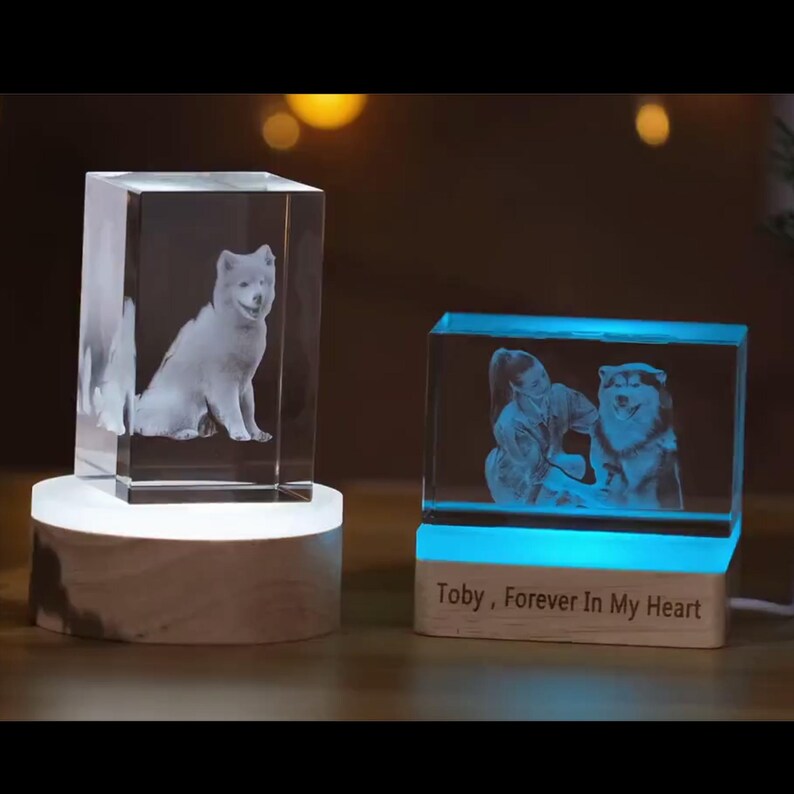 Custom 3d pet photo crystal tower,3d crystal photo,laser engraved glass keepsake with led light,led photo lamp,couple gift,anniversary gift image 4