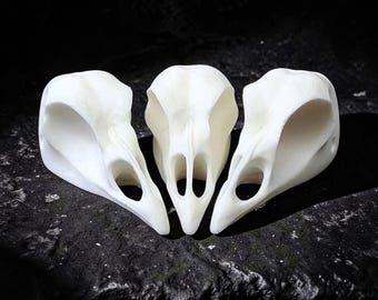 Teschio di tacchino (replica)