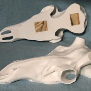 Elk Replica European Skull (Flat Back)
