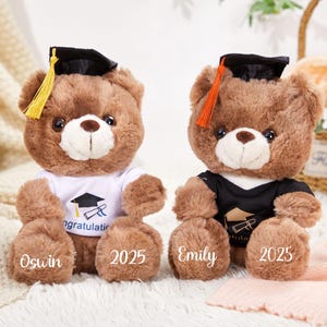 Graduation Teddy Bear with Custom School Name, Plush Bear with Mortarboard, Personalized Graduation Plush Teddy Bear, Graduation Gifts 2025