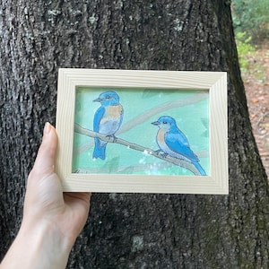 Bluebirds