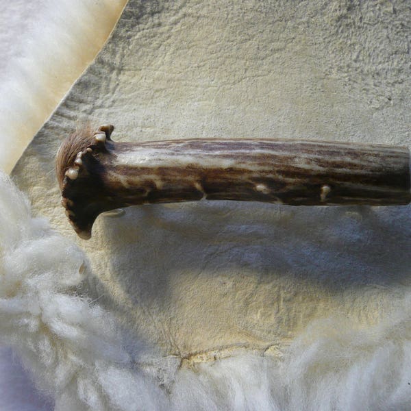 Deer Antler Hair Barrette with Button End #14