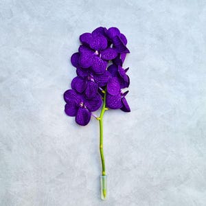 Fresh Purple Vanda Orchids – 5,10,20 Long-Lasting Stems – Exotic Thai Blooms for Weddings, Bouquets & Home Arrangements FREE SHIPPING USA