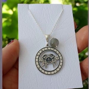 Cancer Zodiac Pendant Necklace , Astrology Charm Gift , 925 Sterling Silver Madallion Necklace , Cancer Zodiac Necklace