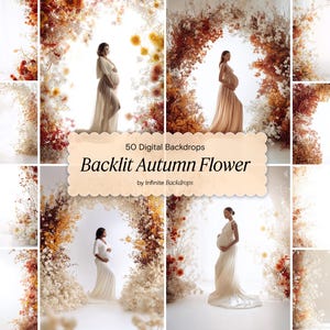 Backlit Autumn Flower Arch Digital Backdrops Set, Digital Backgrounds, Maternity Studio Backdrops for Photoshop, Floral Arch Studio Fine Art
