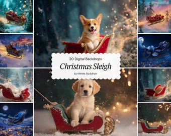 Magical Сhristmas Sleigh Digital Backdrop, Pet Photography Background, Dogs, Cats, Fun Christmas Portrait, JPG Download