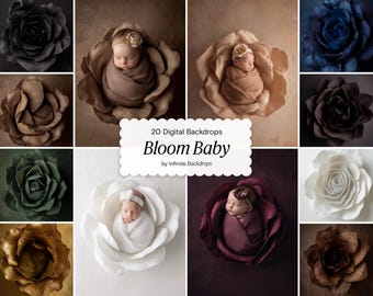 Bloom Baby Backdrop Set: Fine Art Textures Portrait Overlays for Baby, Maternity Studio Photography (Digital Download)