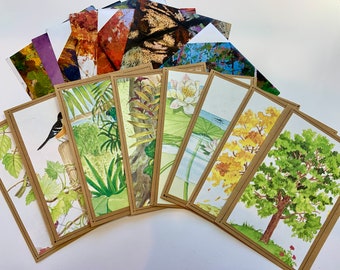 What is a Rain Forest? Blank Greeting Cards Set of 8