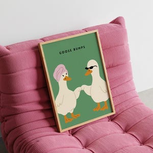 May include: A framed art print featuring two cartoon ducks holding hands against a green background. One duck wears a pink turban, the other sunglasses. The text "GOOSE BUMPS" is at the top. The print is displayed on a pink corduroy chair.