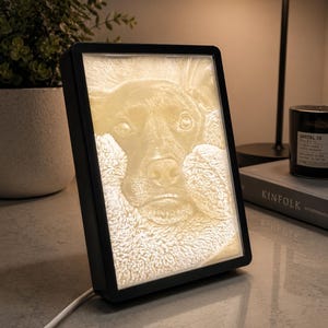 May include: A black framed, illuminated photo of a dog's face. The image is a light tan color and shows the dog's eyes, nose, and mouth. The frame is rectangular and has a white power cord attached. The lamp is on a table with a book and candle.