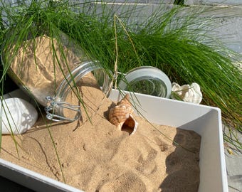 Sterilized Hamster Sand: Enrichment Bathing Sand