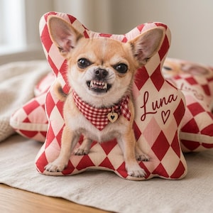 May include: A custom-shaped throw pillow featuring a photographic print of a tan Chihuahua wearing a red and white gingham bandana with a heart charm. The pillow has a red and cream diamond pattern and the name Luna written in cursive script.