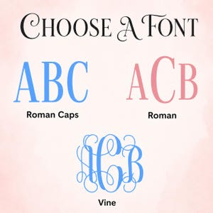 May include: A font selection chart with the text CHOOSE A FONT at the top. It displays three styles: Roman Caps in blue showing ABC, Roman in pink showing ACB, and Vine in blue showing a decorative monogram. Each style is labeled below the letters.