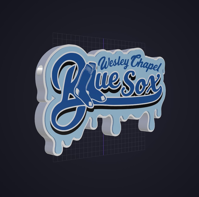 May include: A three-dimensional sign featuring the text Wesley Chapel Blue Sox in dark blue script with a light blue dripping effect border. The design includes a graphic of two socks integrated into the lettering, set against a dark background.
