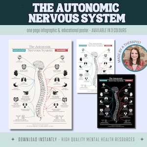The Autonomic Nervous System - Sympathetic and Parasympathetic Nervous System Responses - Poster, Therapy Tool, Psychology, Mental Health