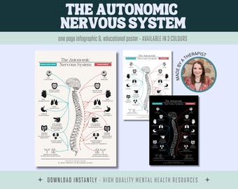 The Autonomic Nervous System - Sympathetic and Parasympathetic Nervous System Responses - Poster, Therapy Tool, Psychology, Mental Health