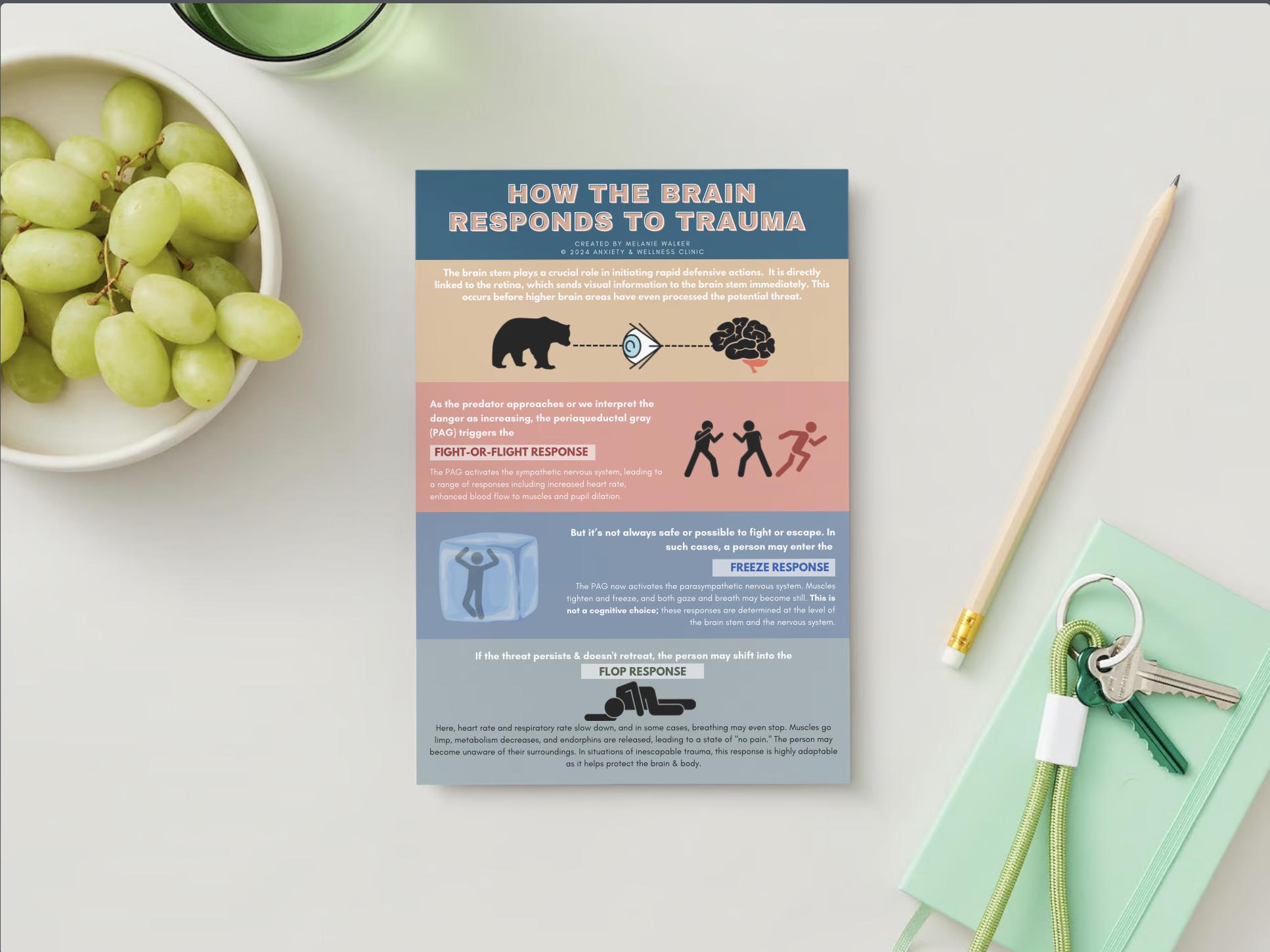 How the Brain Responds to Trauma Therapeutic Handout, Trauma Therapy ...
