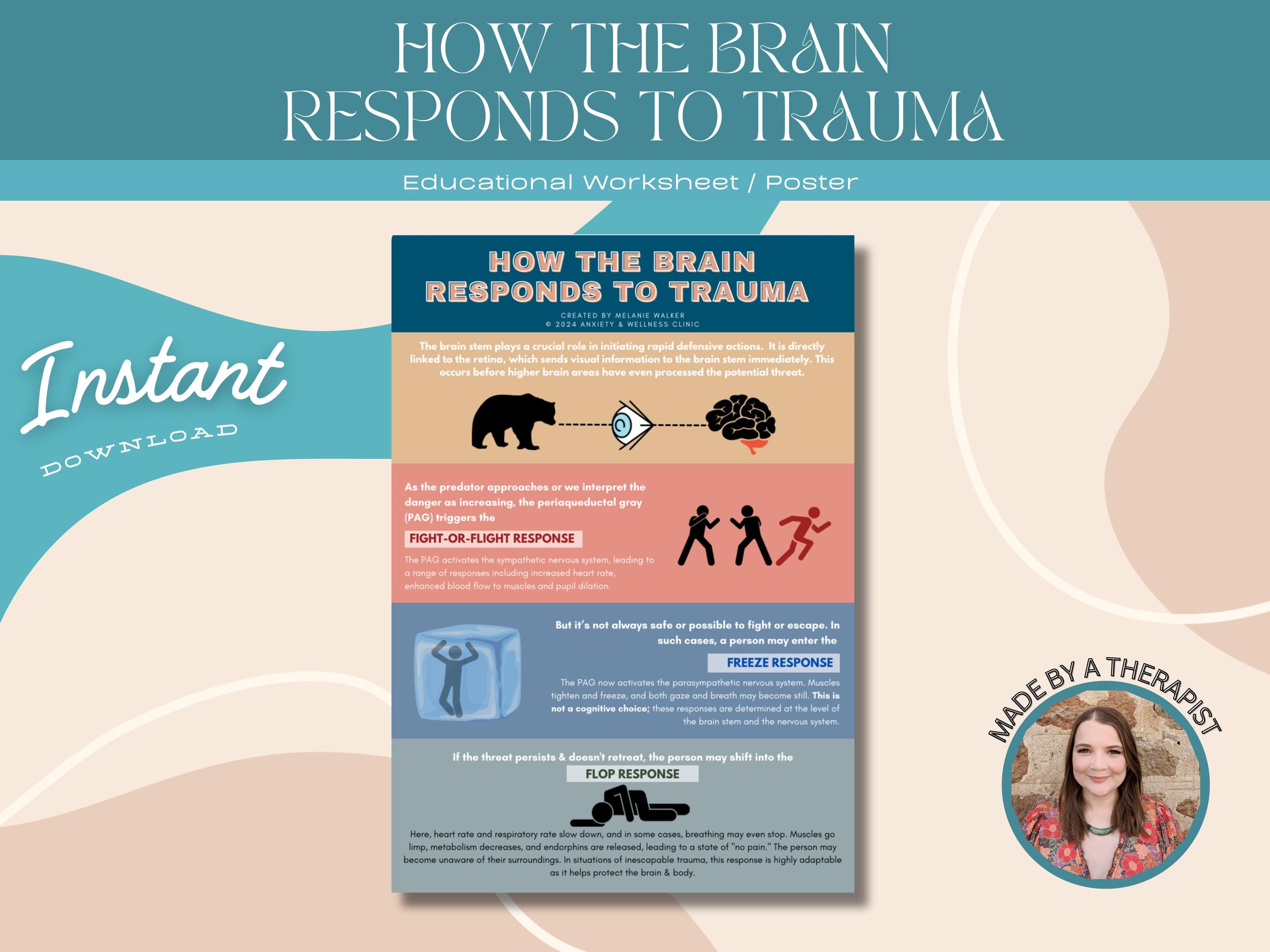 How the Brain Responds to Trauma Therapeutic Handout, Trauma Therapy ...