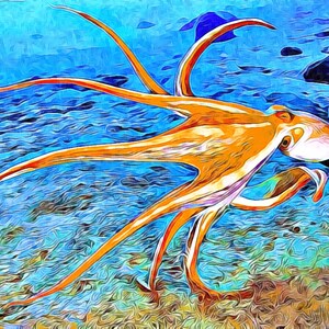 Digital print artwork Octopus by Lindsay Ahart