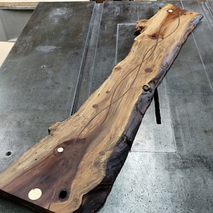 Peut inclure: Une longue dalle de bois avec un bord naturel et une couleur brun clair. Le bois présente un motif de grain unique et plusieurs petites accents en laiton ronds sont incrustés dans la surface.