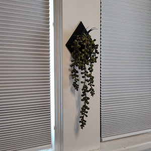 Peut inclure: Un pot de fleurs noir en forme de diamant avec une plante succulente verte qui pend. Le pot est monté sur un mur blanc.
