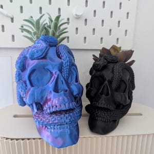 Gothic Skull Planter – 3D Printed Succulent Pot, Hanging Face Planter, Unique Head Planter, Day of the Dead Decor, Housewarming Gift