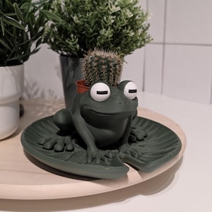 May include: A green frog planter with white eyes sits on a wooden surface. The frog is holding a small terracotta pot with a green cactus plant.