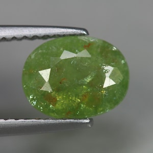 May include: A faceted, oval-shaped, light green gemstone. The gem is held by a silver tweezer. The stone has a translucent appearance with small inclusions and a polished surface. The gem is a vibrant, natural green color.