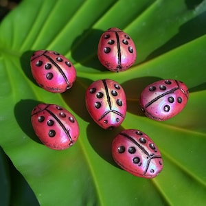 May include: Six pink ladybug-shaped beads with black spots and a shiny finish. The beads are arranged on a green leaf.