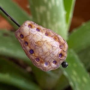 Drop beads - Czech glass beads - Teardrop beads - Glass teardrop beads - Tear drop beads - 17x12mm - 6 pcs