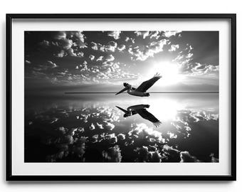 Flight of the Pelican | Fine Art Photography Print | Black & White | Calm Water Reflection with Pelican Silhouette | Nature Photography