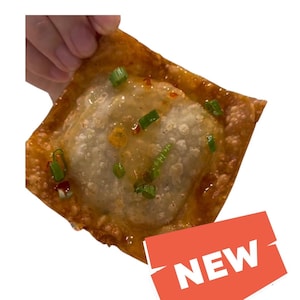 Deep Fry Wanton Chips with filling - turkey, pork, beef, shrimp and vegetables