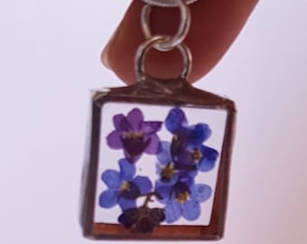 Pressed flowers (forget-me-nots) in glass pendant. 2.1 x2.1 cms. Real flowers. Pretty gift. Birthdays or anytime.
