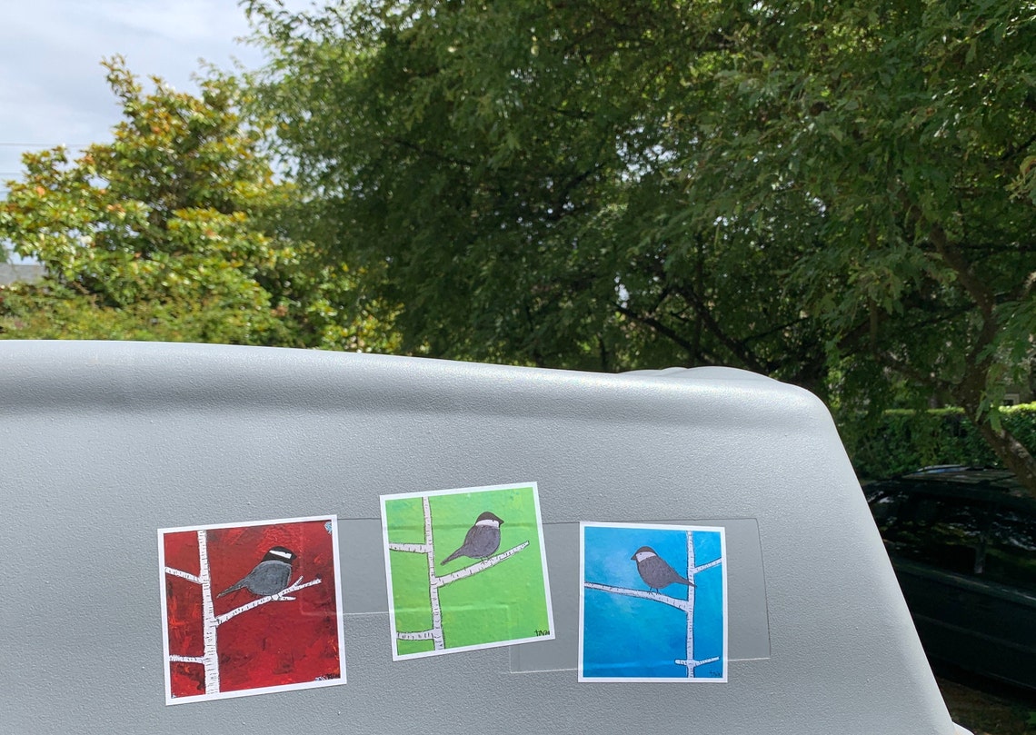 Sticker decal car art bird stickers set of 3 | Etsy