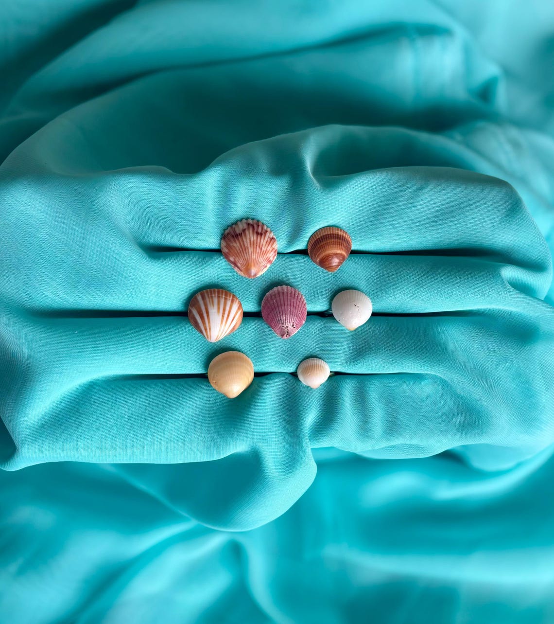 Coastal Seashell Ring • Adjustable Beach Ring • Real Shell Jewelry ...