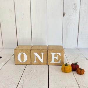 May include: Wooden blocks spelling out the word "ONE" in white letters. Three small felt pumpkins in orange and yellow are in the foreground.