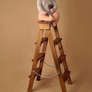 Step Ladder Family Photo Props, Extended Family Photo Shoot, Party Photo Shoots, Wooden Ladder Props, Toddler Ladder, Photographer Accessory