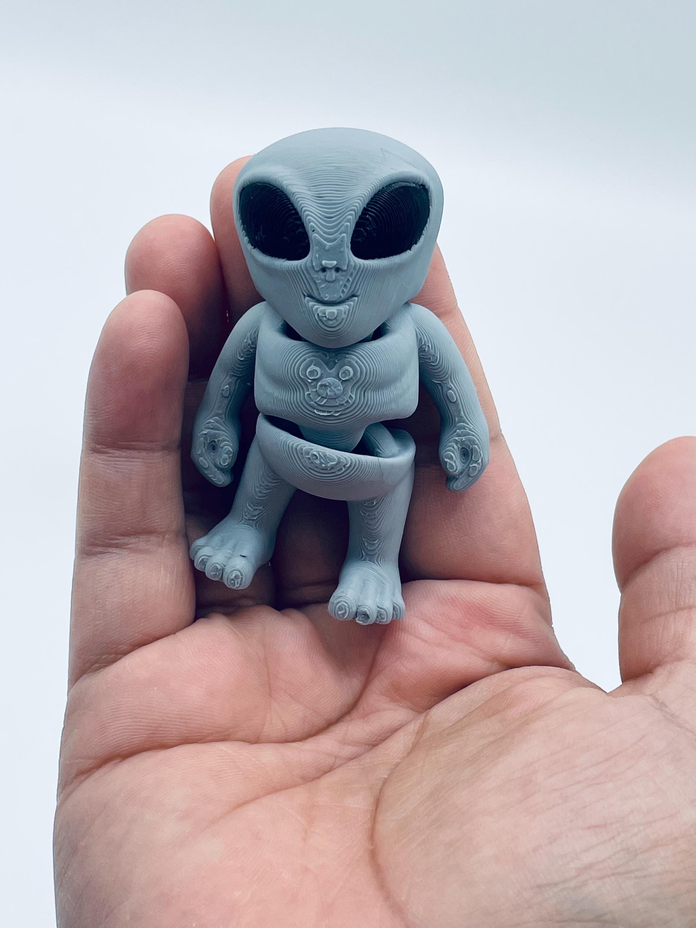 Articulated Mini Alien Fidget Toy: 3D Printed Sensory Gift - Etsy