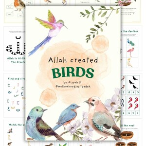 Könnte beinhalten: Ein farbenfrohes, druckbares Lernspielbuch für Kinder über Vögel. Das Buch enthält Illustrationen von Vögeln, den Lebenszyklus eines Vogels, wie Vögel ihre Nester bauen, wo Vögel leben und eine Such- und Kreisaktivität. Das Buch enthält auch den Text "Allah hat die Vögel erschaffen" und "von Aisyah K @motherhood.as.ibadah".