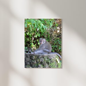 Ubud Monkey Forest Bali Indonesia, Fine Art Print, Nature Travel Photography, Lifestyle Wall Art Home Decor, INSTANT DIGITAL DOWNLOAD