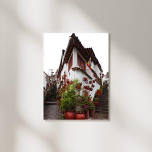 May include: A white building with red-trimmed windows and a rainbow flag hanging from the top. The building is on a steep, narrow street with stairs leading up to it. There are many potted plants hanging from the building, creating a colorful and vibrant scene.
