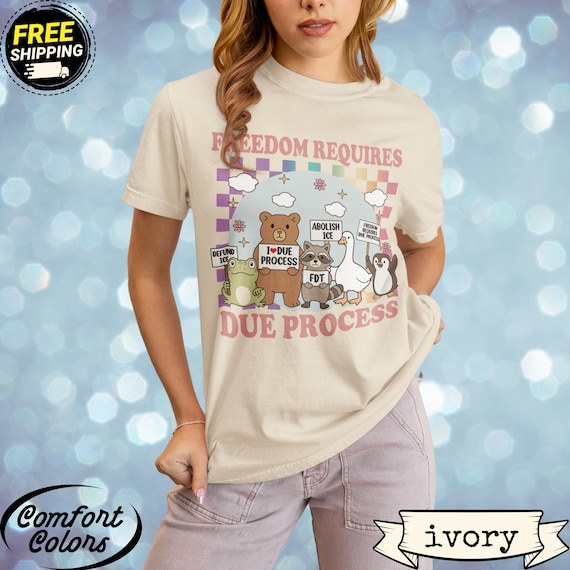 Freedom Requires Due Process Shirt