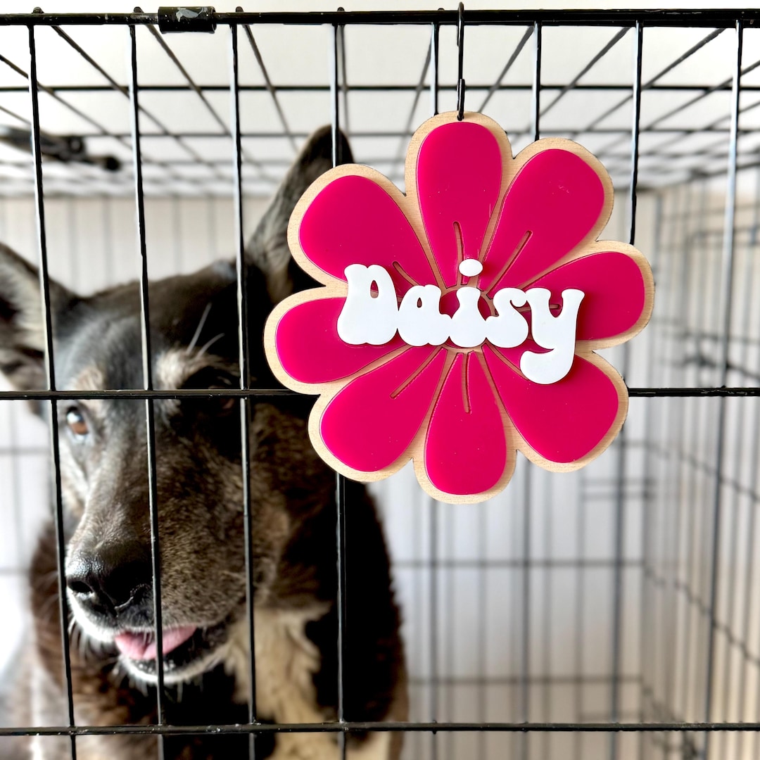 Personalized Daisy Dog Crate Name Tag Custom Pet Name Plate Flower Dog ... - Personalized Dog Crate Name Makers