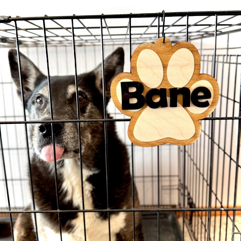 Curated visual reference: Gallery Detail: Personalized Dog Crate Name Tag Custom Paw Print Shaped Kennel