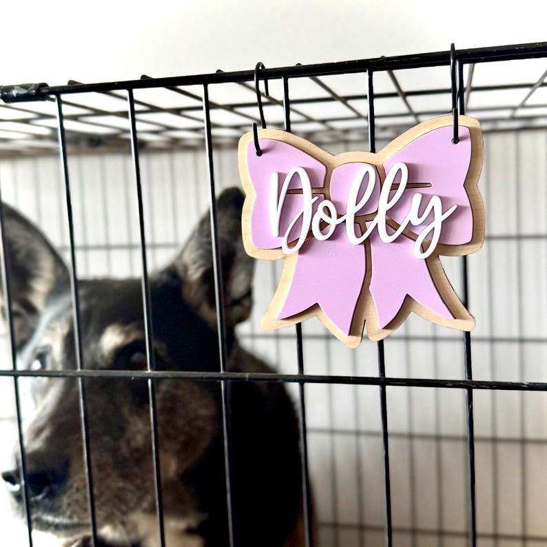 Visual Reference: Personalized Dog Crate Name Tag Custom Bow Shaped Kennel Nameplate