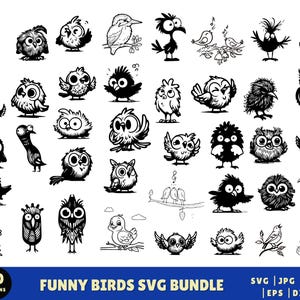 Paquete SVG de pájaros divertidos, diseño de pájaros adorables, clipart de pájaros locos, sublimación vectorial de pájaros, archivo de corte Cricut, SVG de pájaros de dibujos animados, archivo instantáneo